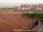kich thuoc ngoi am duong Hai Long