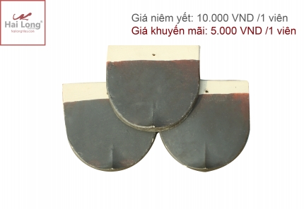 Sản phẩm giảm giá 50% 01