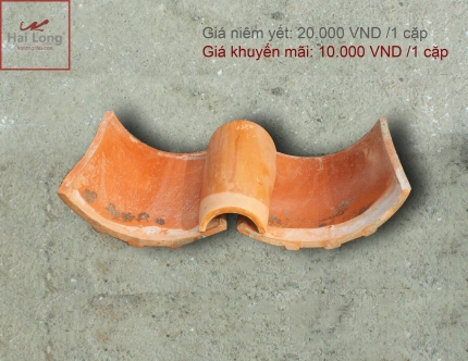 Sản phẩm giảm giá 50% 01