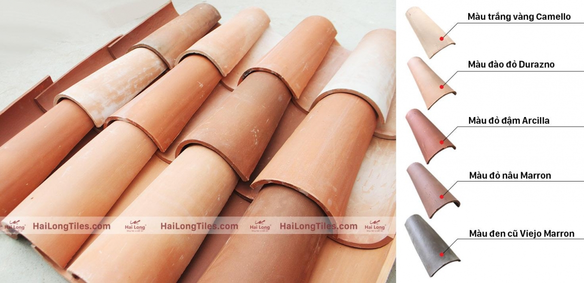 mau sac ngoi mediteriano