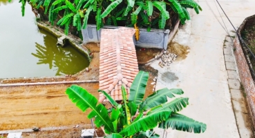 ngói ống lợp cổng