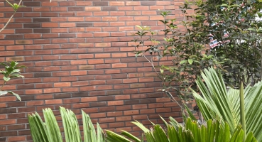 gạch thẻ ốp tường