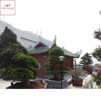 Ngói mũi hài sen kép men xanh đồng cổ 01