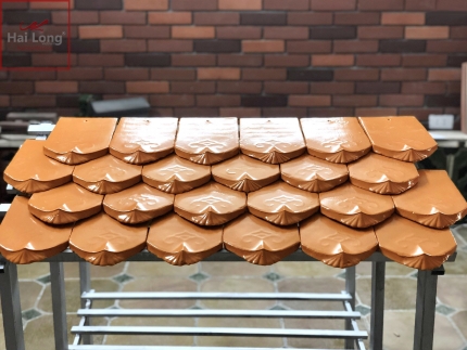 ngói mũi hài cổ 220x150 men sứ carrot