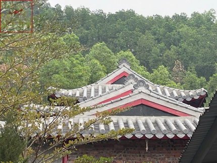 Ngói Âm Dương men ánh thép kiến trúc Chùa Cây Thị 01