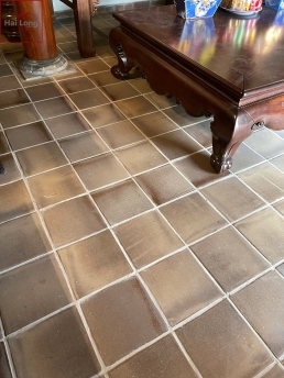 Gạch men nâu gấm 01