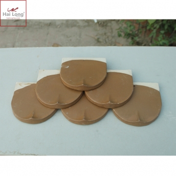 ngoi lop biet thu Phap