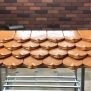 ngói mũi hài cổ 220x150 men sứ carrot